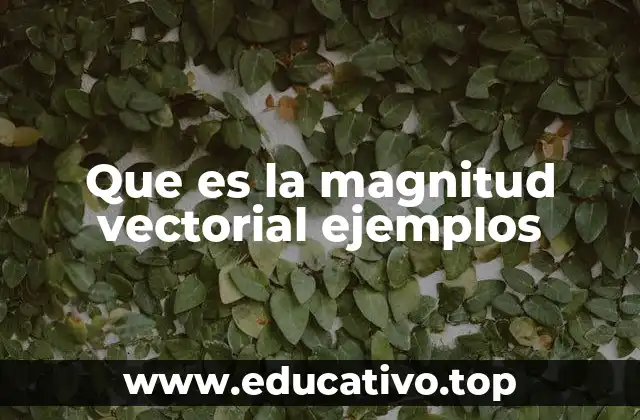 Que es la magnitud vectorial ejemplos