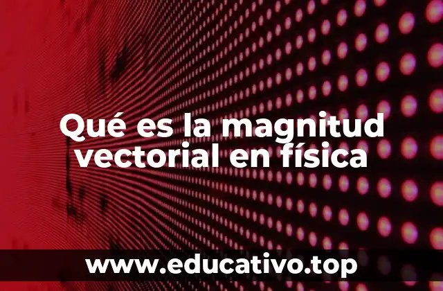 Qué es la magnitud vectorial en física