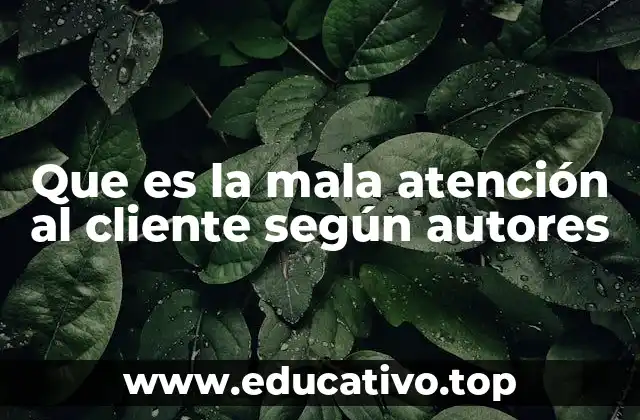 Que es la mala atención al cliente según autores