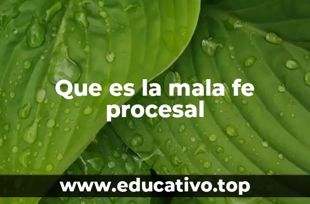 Que es la mala fe procesal