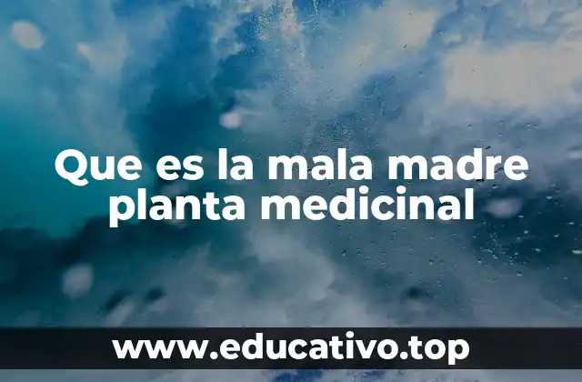 Que es la mala madre planta medicinal