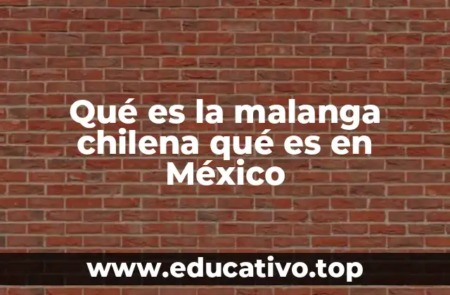 Qué es la malanga chilena qué es en México