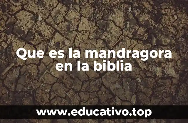 Que es la mandragora en la biblia