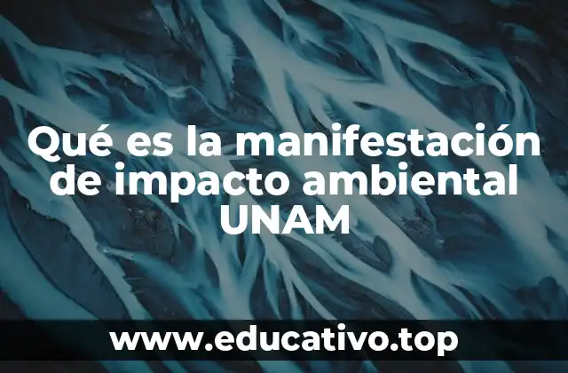 El rol de la UNAM en la protección ambiental mediante la evaluación de impactos