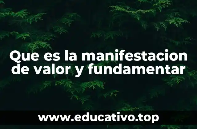 Que es la manifestacion de valor y fundamentar