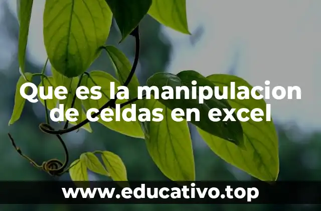 Que es la manipulacion de celdas en excel