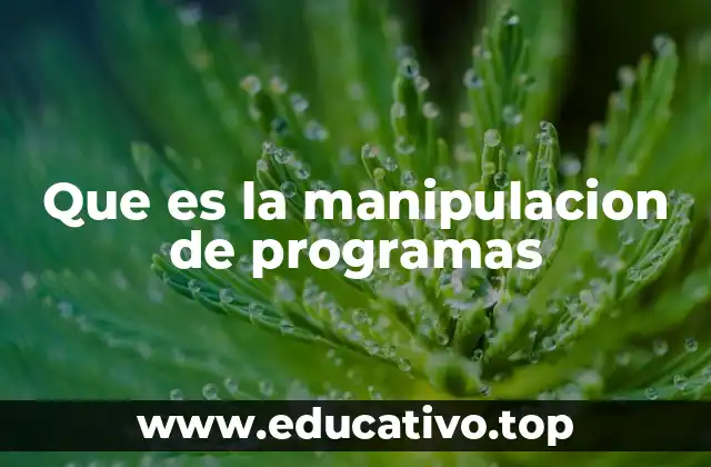 Que es la manipulacion de programas