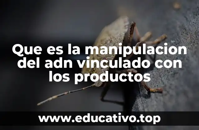 Que es la manipulacion del adn vinculado con los productos