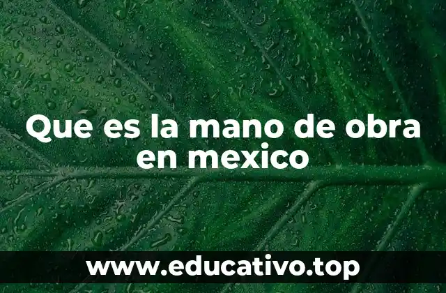Que es la mano de obra en mexico
