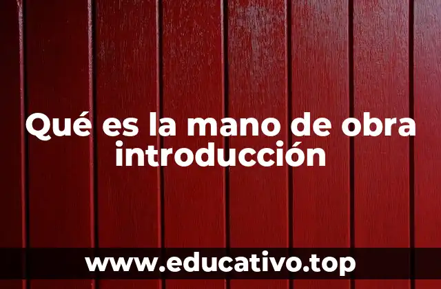 La importancia de la mano de obra en la economía