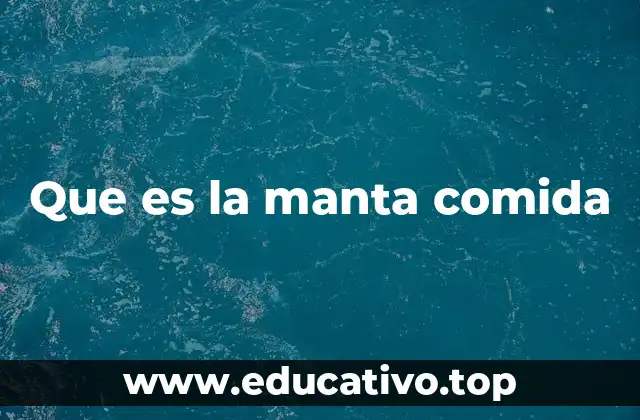 Que es la manta comida