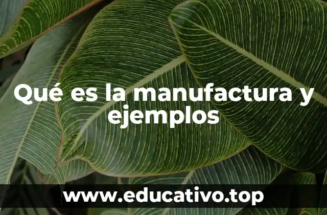 Qué es la manufactura y ejemplos