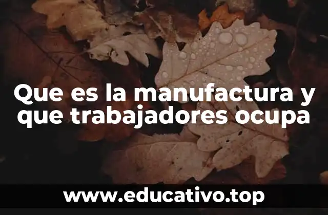 Que es la manufactura y que trabajadores ocupa