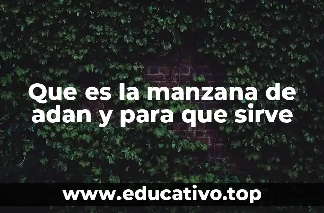 Que es la manzana de adan y para que sirve