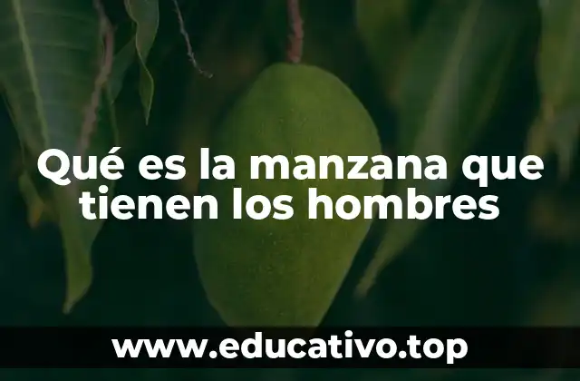 Qué es la manzana que tienen los hombres
