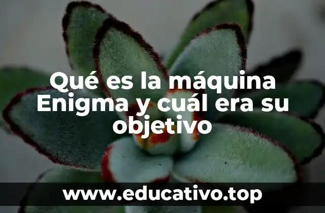 El papel de la Enigma en la Segunda Guerra Mundial
