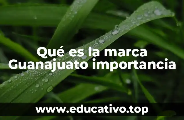 Qué es la marca Guanajuato importancia