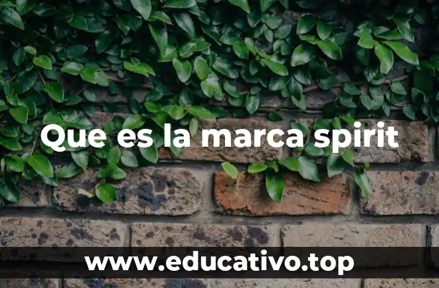 Que es la marca spirit