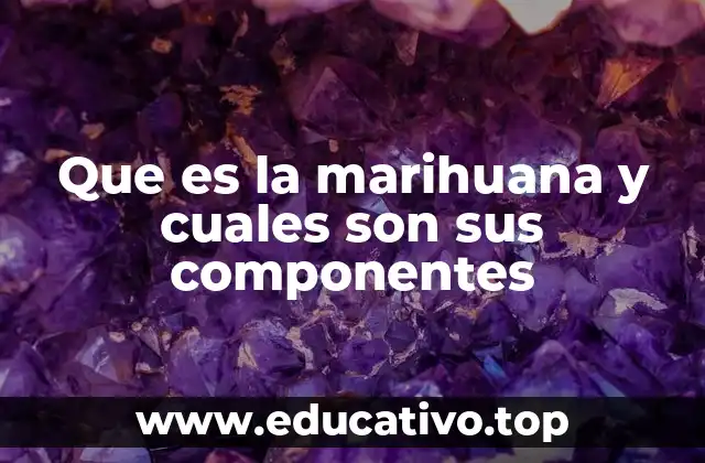 Que es la marihuana y cuales son sus componentes