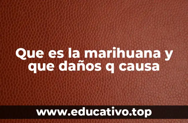 Que es la marihuana y que daños q causa