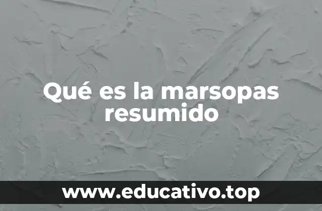 Qué es la marsopas resumido