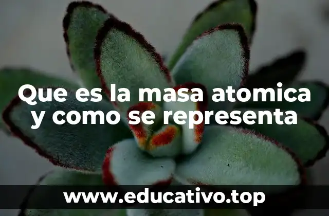 Que es la masa atomica y como se representa