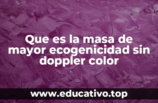 Que es la masa de mayor ecogenicidad sin doppler color