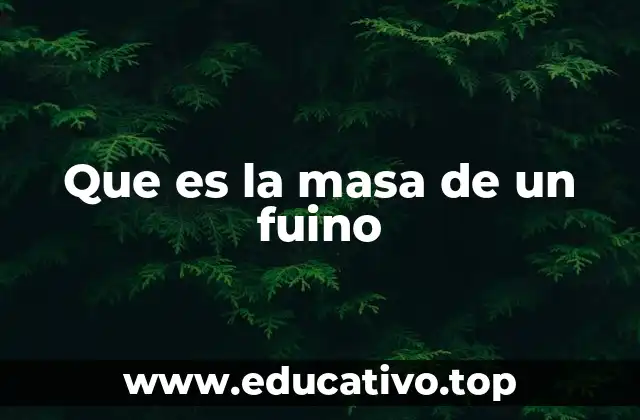 Que es la masa de un fuino