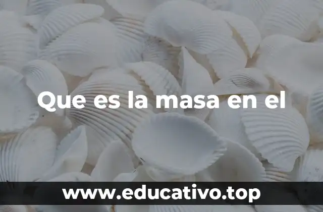Que es la masa en el
