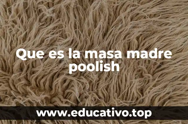 Que es la masa madre poolish