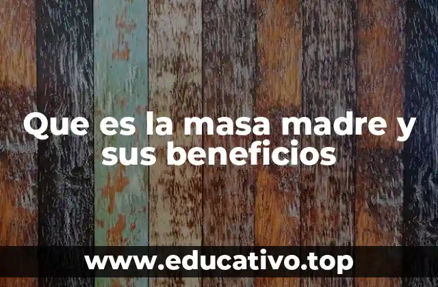 Que es la masa madre y sus beneficios