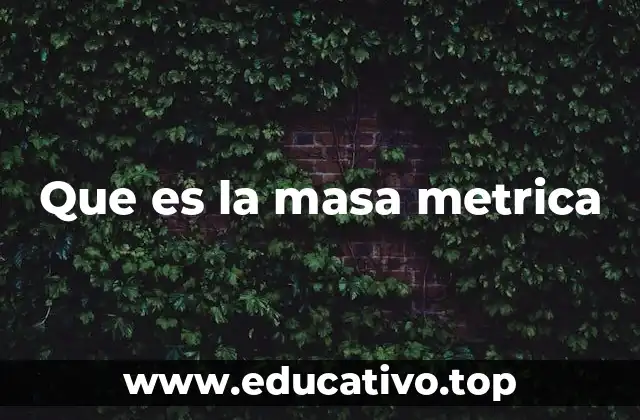 Que es la masa metrica