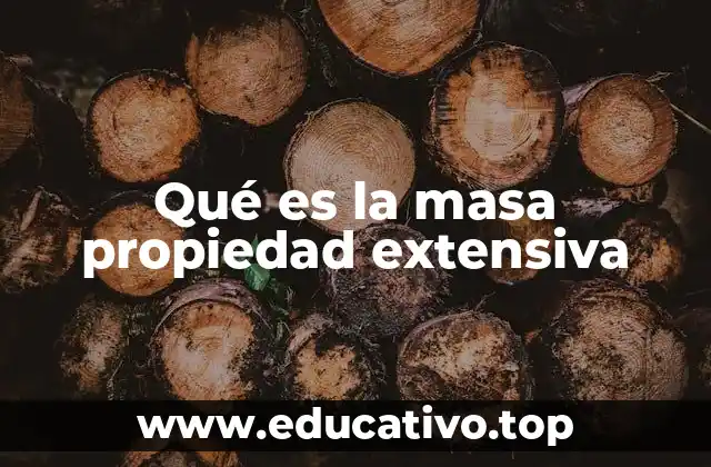 Qué es la masa propiedad extensiva