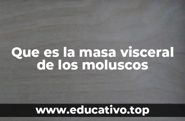 Que es la masa visceral de los moluscos