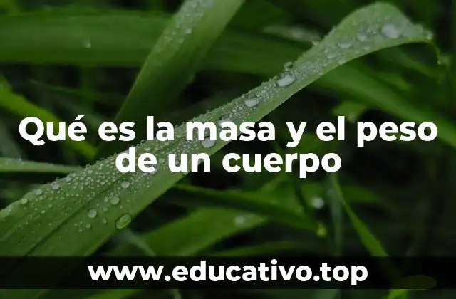Qué es la masa y el peso de un cuerpo