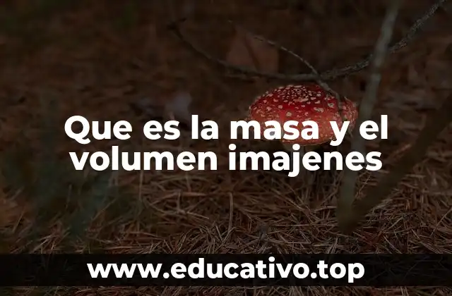 Que es la masa y el volumen imajenes