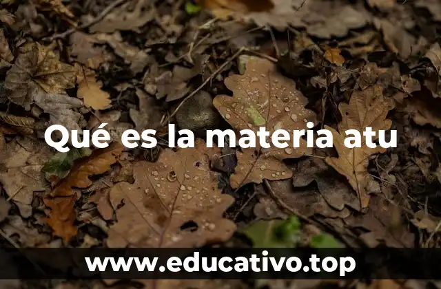Qué es la materia atu