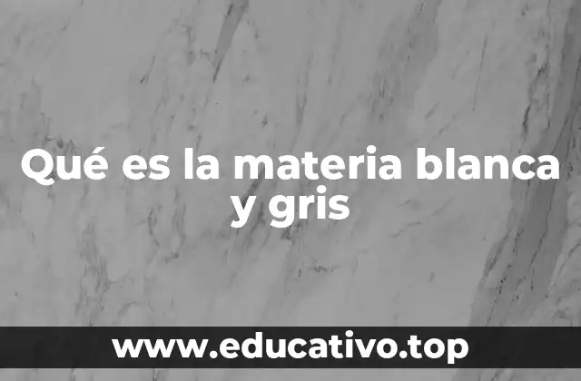 Qué es la materia blanca y gris