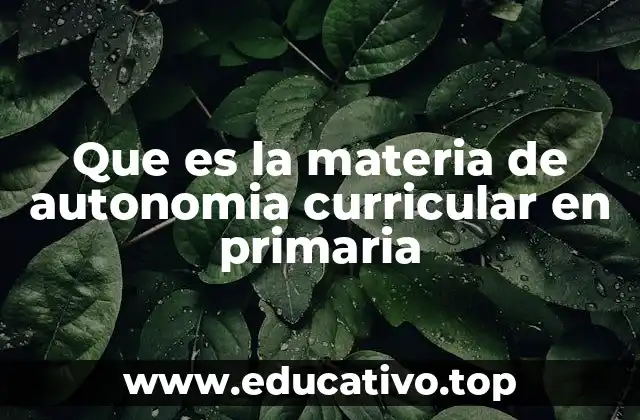 La importancia de la autonomía curricular en la educación primaria
