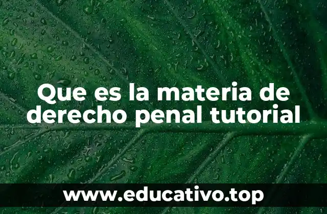 Que es la materia de derecho penal tutorial