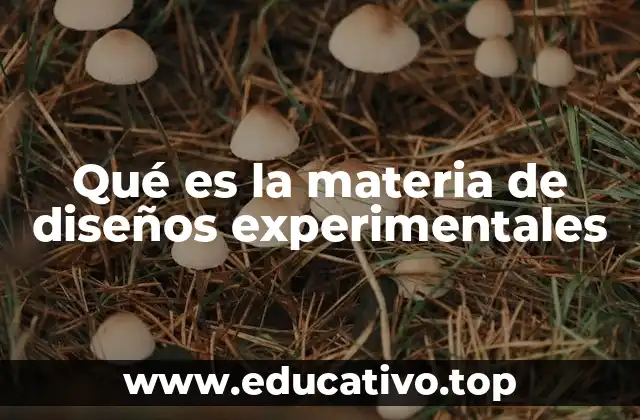 Qué es la materia de diseños experimentales