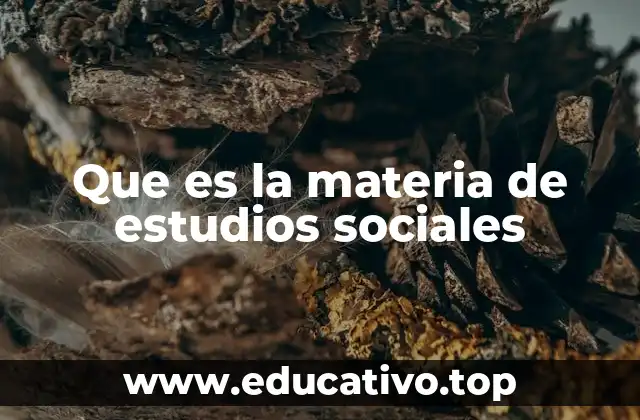 Que es la materia de estudios sociales