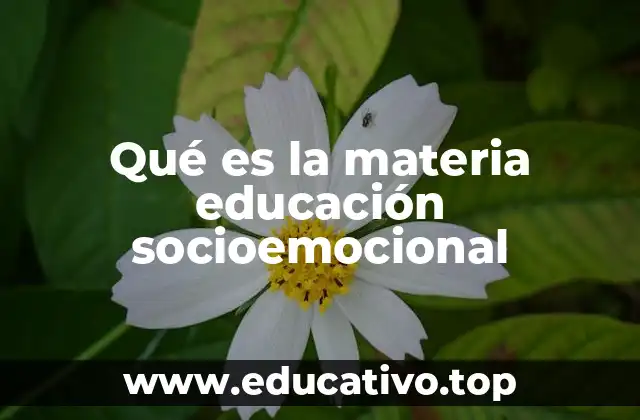 Qué es la materia educación socioemocional