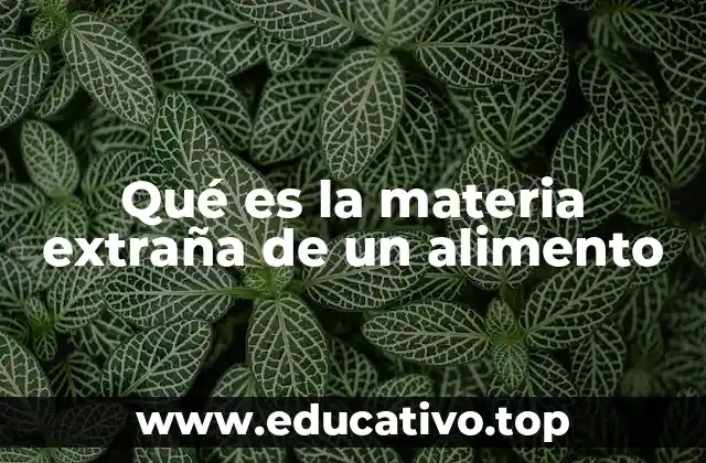 Qué es la materia extraña de un alimento