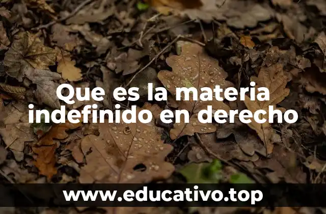 Que es la materia indefinido en derecho