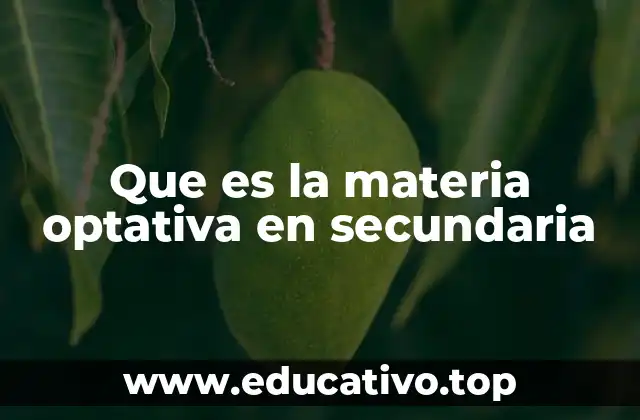 Que es la materia optativa en secundaria