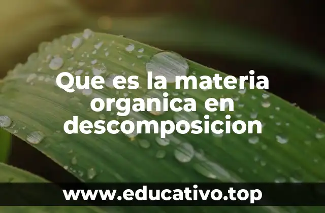 Que es la materia organica en descomposicion
