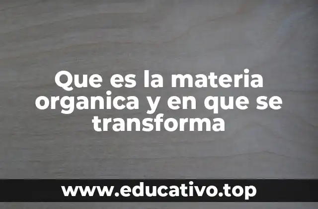 Que es la materia organica y en que se transforma