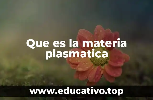 Que es la materia plasmatica