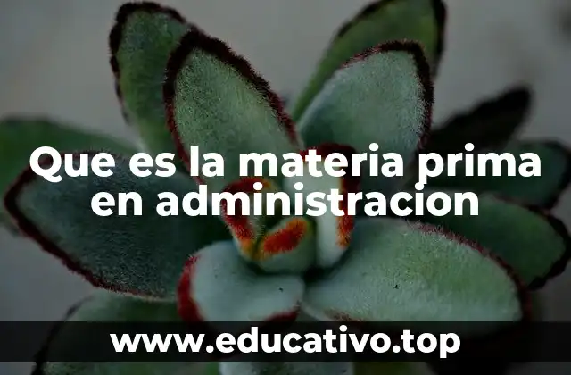 Que es la materia prima en administracion